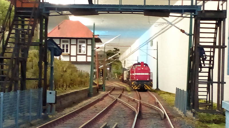 &quot;Auf freier Wildbahn&quot;