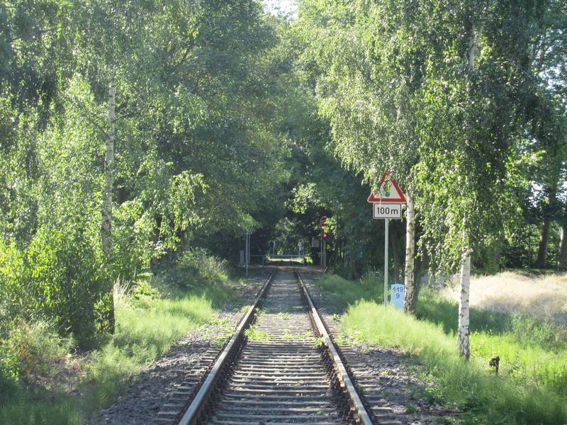 Ampel und Bahn