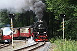 IMG_2966.JPG