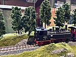 IMG_3328.jpg