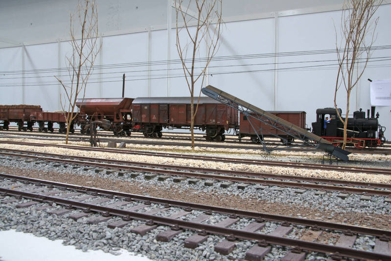 Zug WN 11 mit aufgebockten Wagen