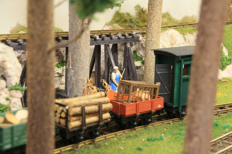 Waldbahn 4
