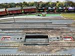 IMG_20201115_132411.jpg
