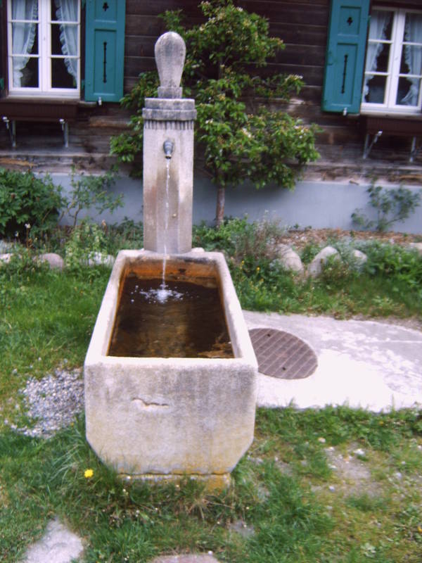 Davos Wiesen Stationsbrunnen 1