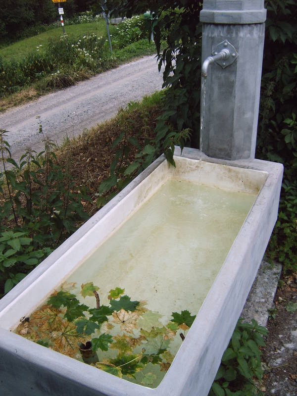 Waltensburg / Vuorz Stationsbrunnen 1