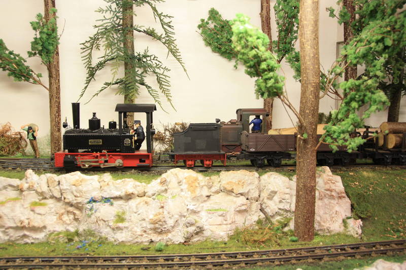 Szene an der Waldbahn