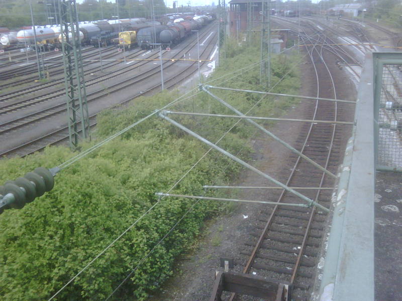 IMG00233