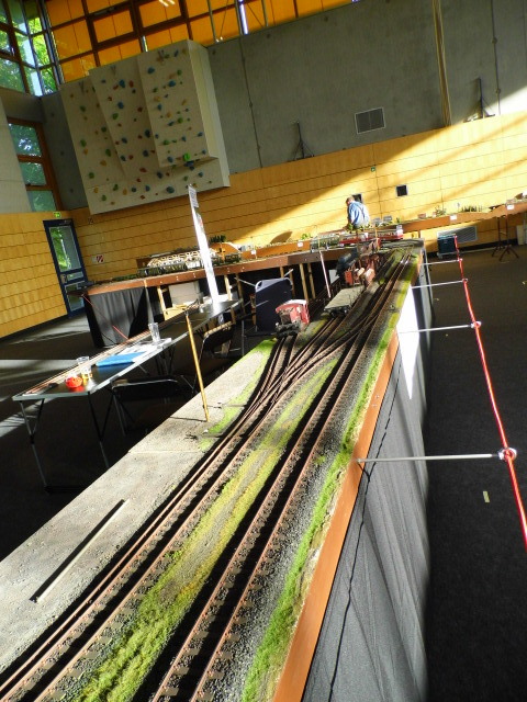 DSCI0003