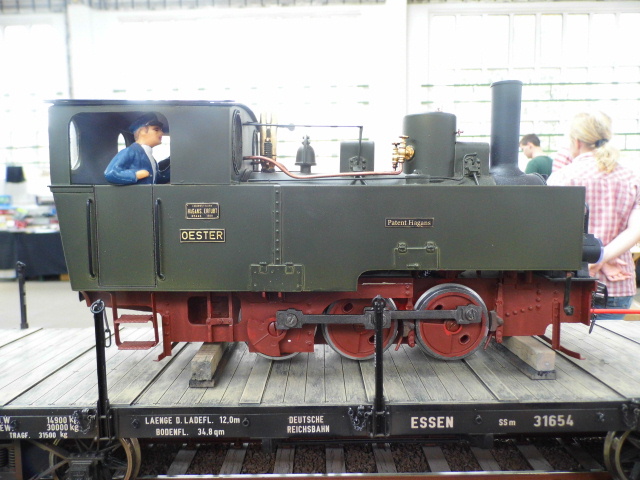 DSCI0086