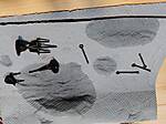 20241123_223131.jpg