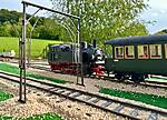 IMG_3213.jpg