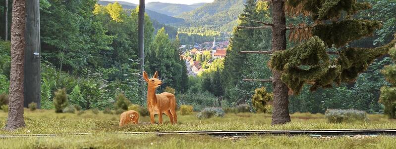 Rehwild_an_der_Feldbahn