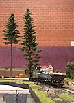 IMG_3685.JPG