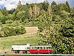 IMG_20260912_171650.jpg