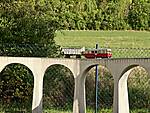 IMG_20260912_172133.jpg