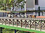 IMG_20260912_175526.jpg
